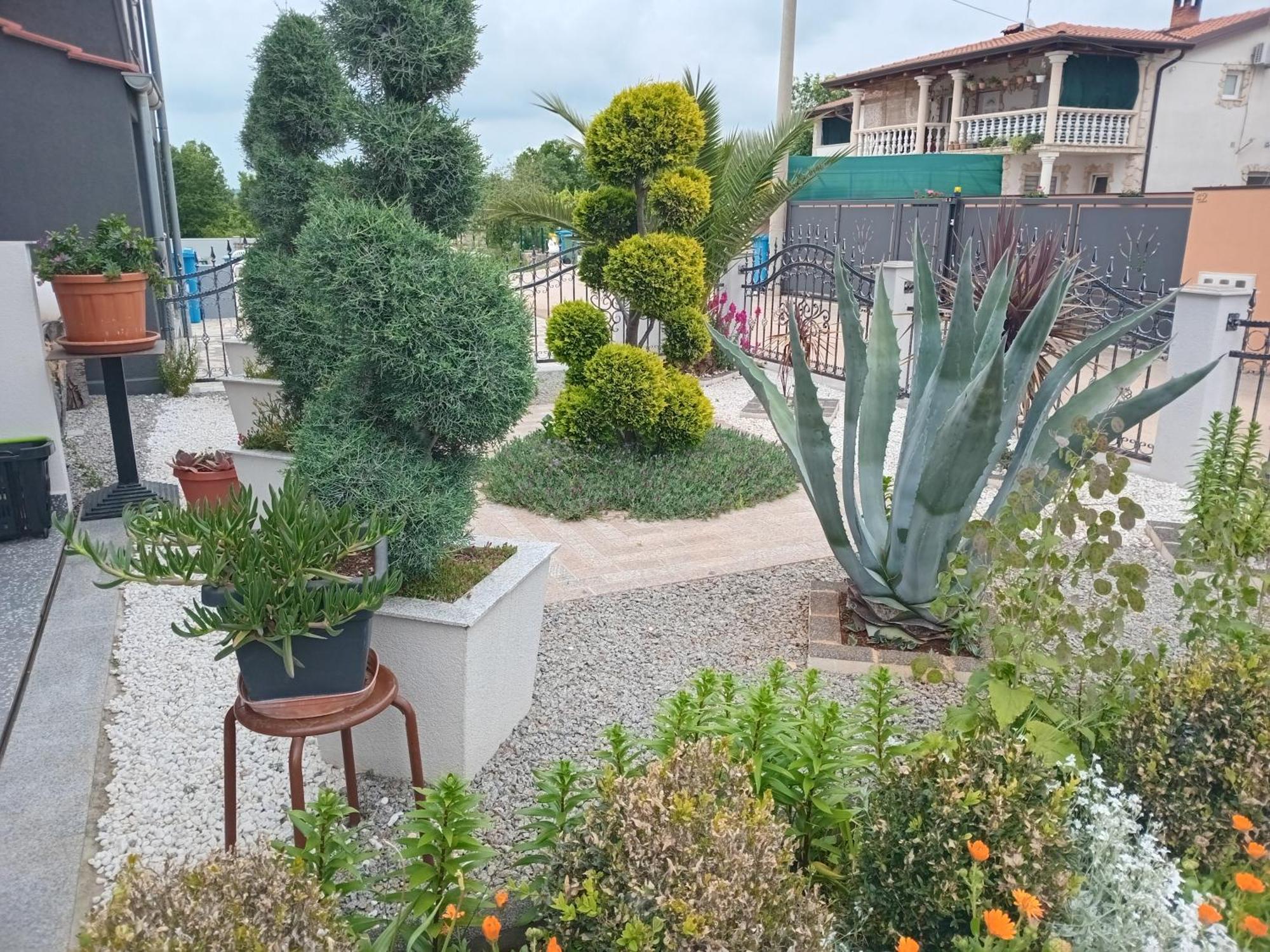 Apartments Katja بوريتش المظهر الخارجي الصورة